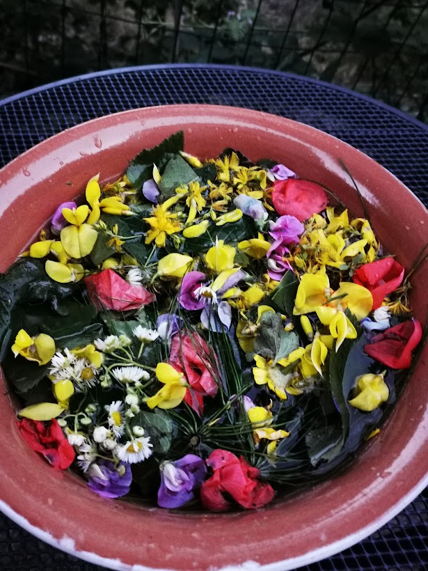 L’ACQUA DI SAN GIOVANNI